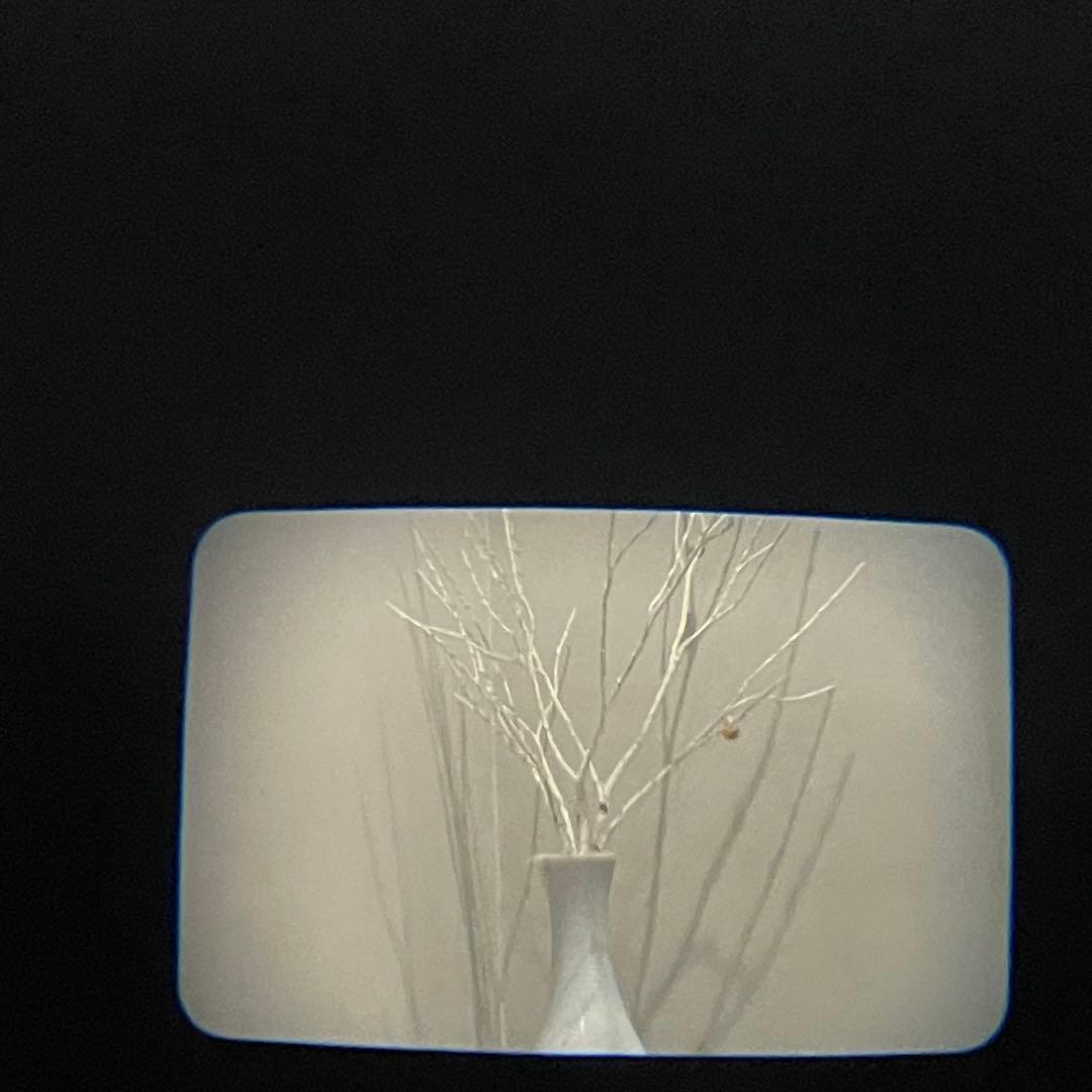 【極美品】　MINOLTA Capios 160A コンパクトフィルムカメラ