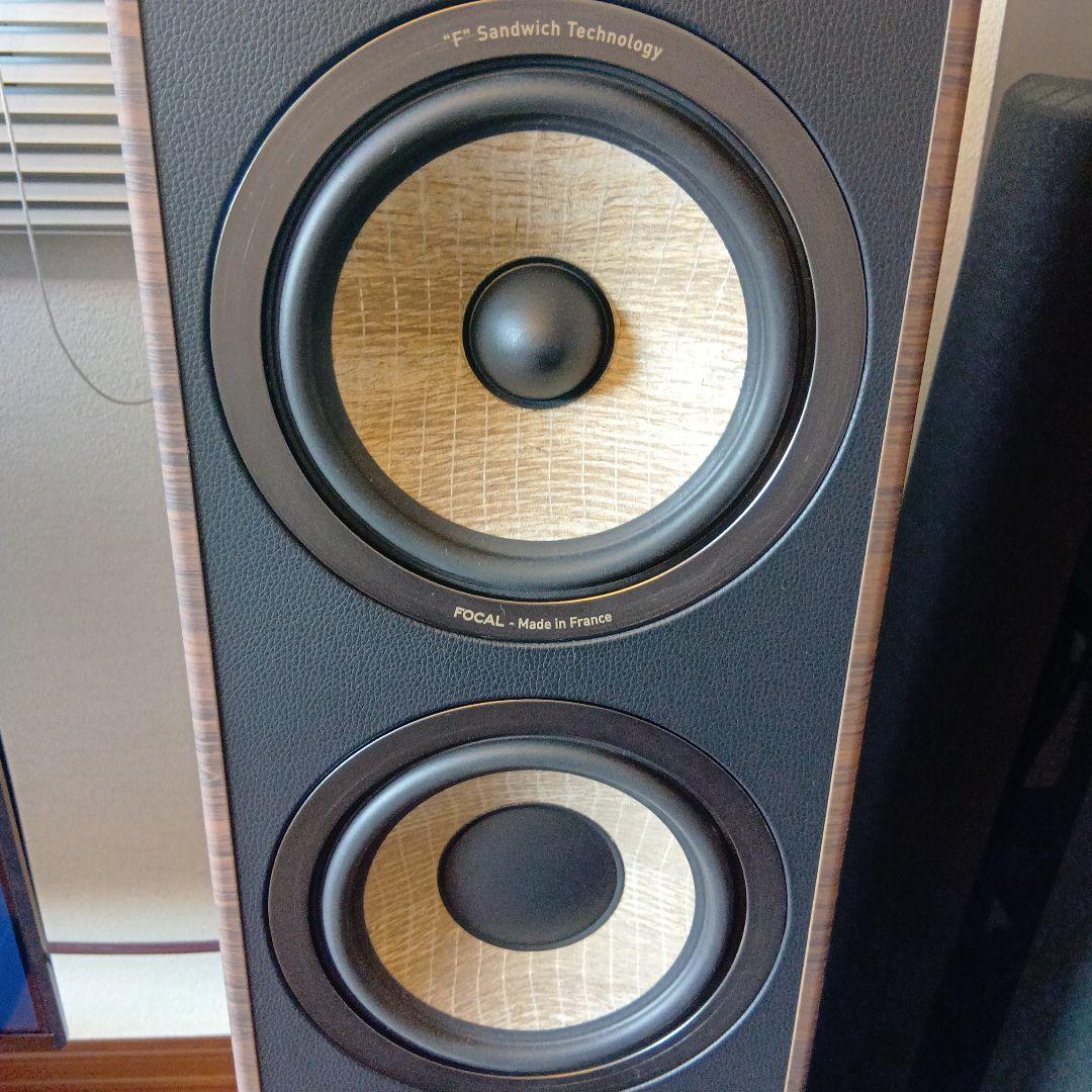 【杏子2021 プロフ必読】Focal Aria 926 NY 1本（右）