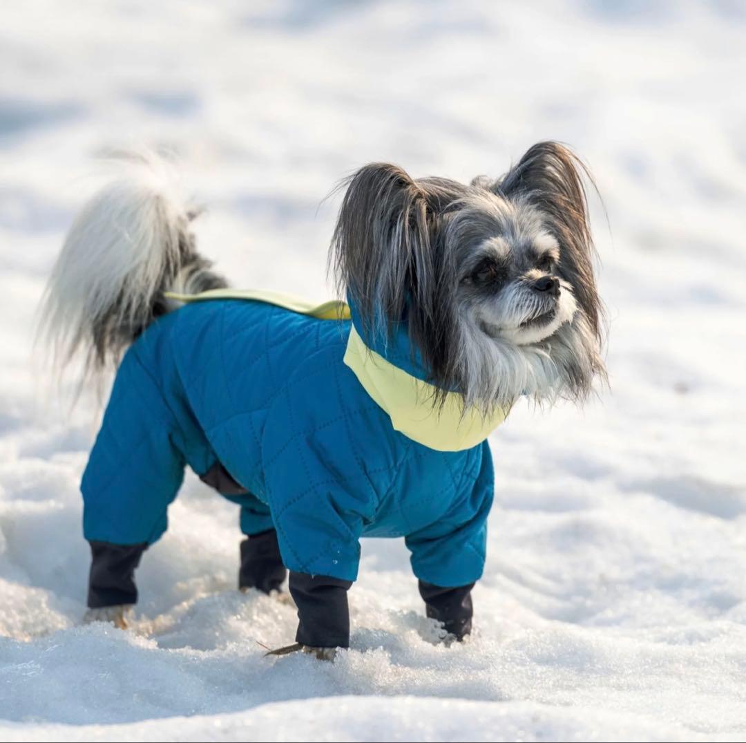 【未開封新品】ALPHAICON DOG GUARD AIR MLサイズ