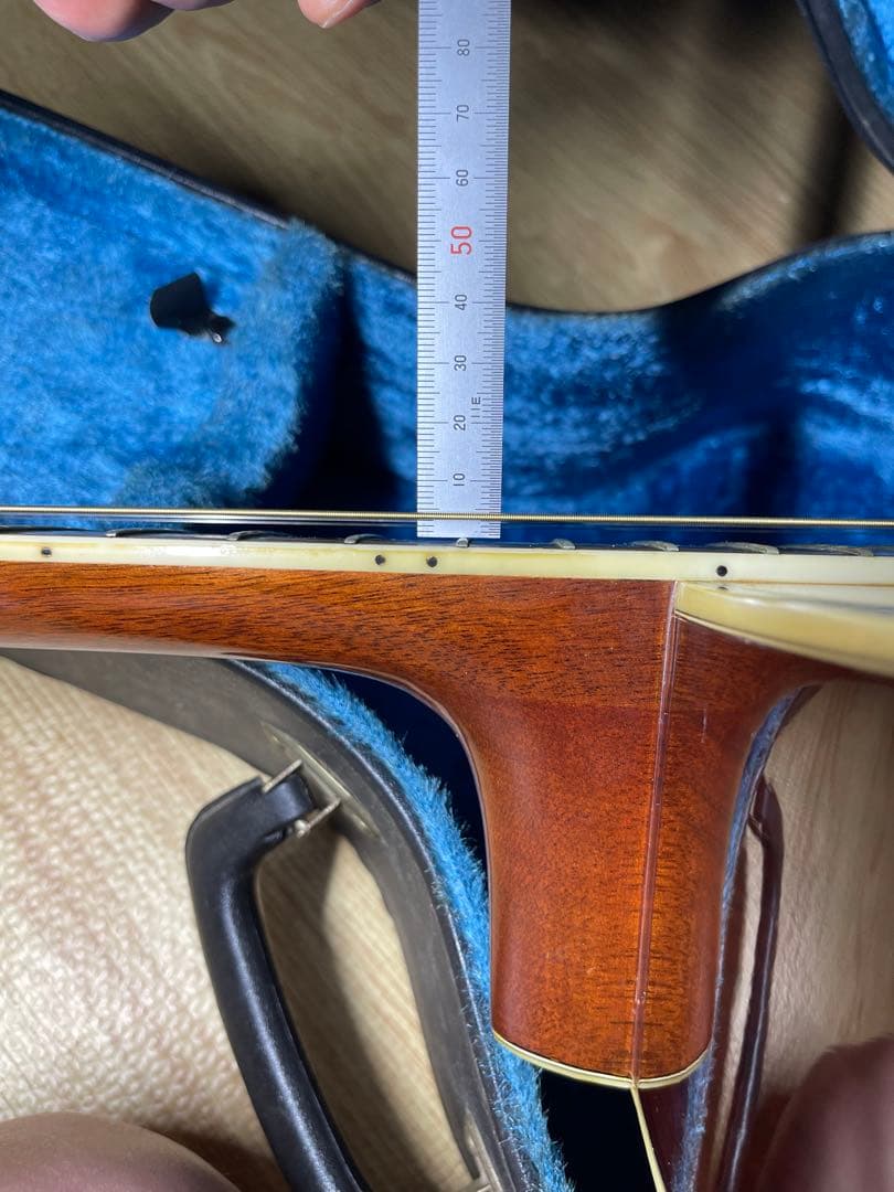 Morris W-60 ハカランダ材 トップ単板