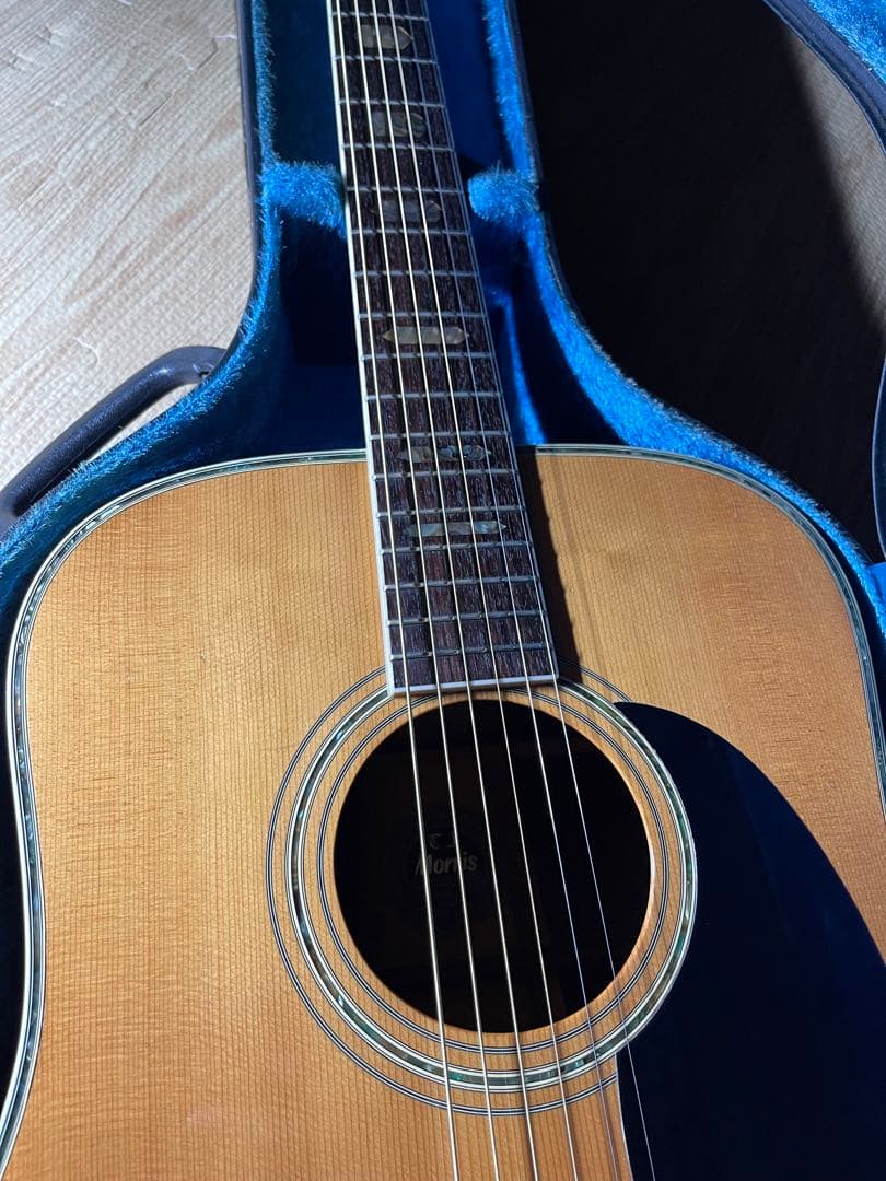 Morris W-60 ハカランダ材 トップ単板