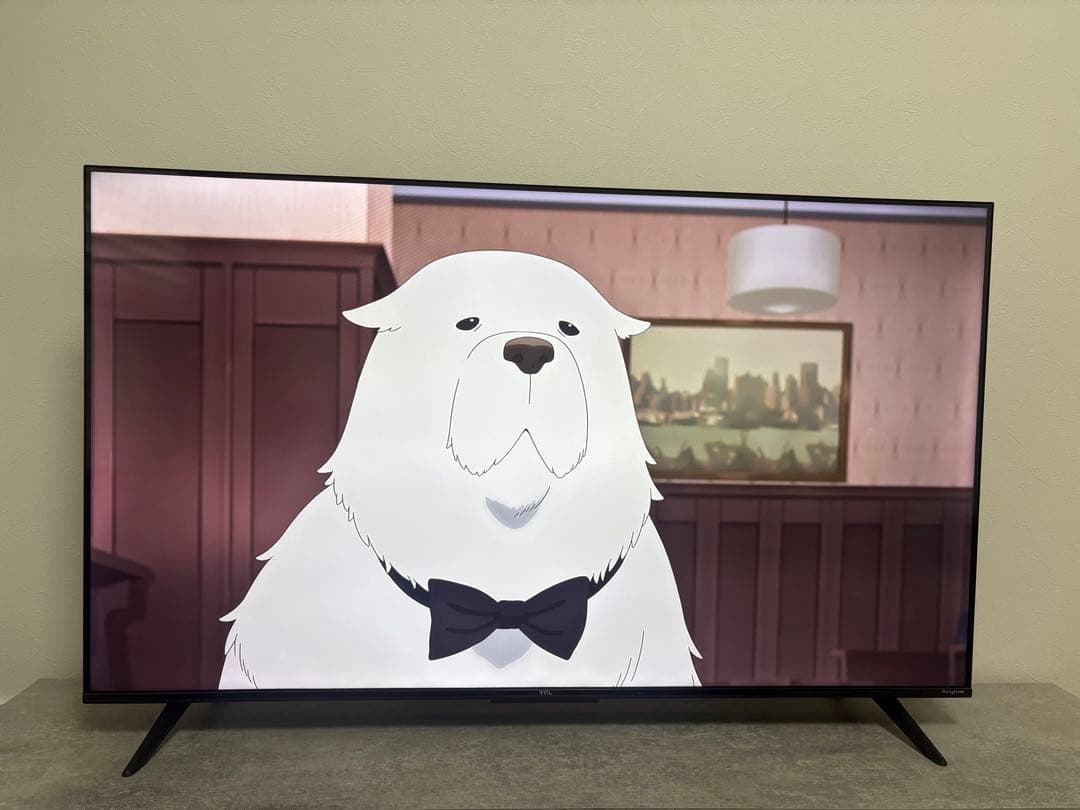 チューナーレステレビ