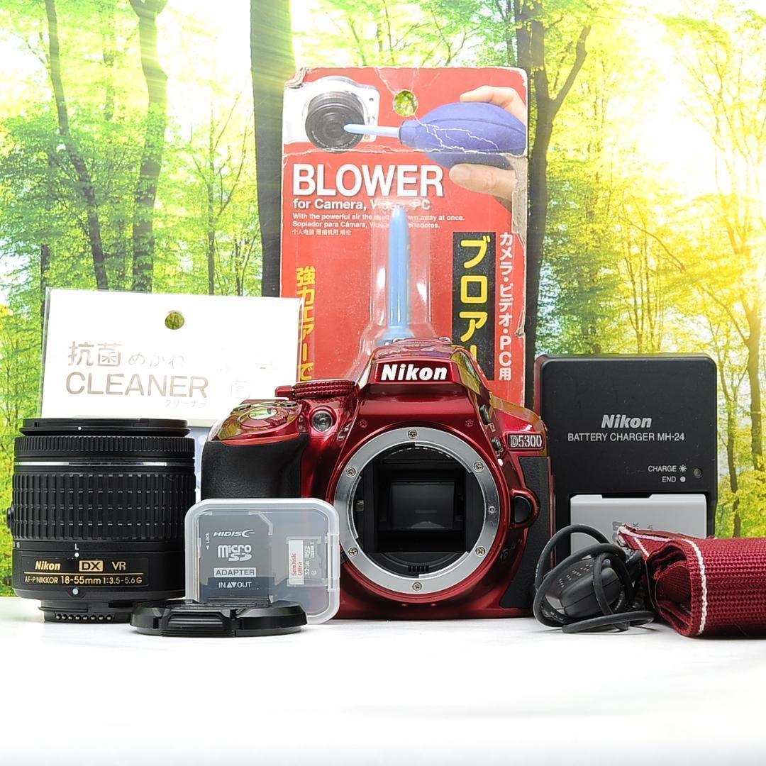 ショット数137枚？！WiFi付き一眼レフ☆ニコン D5300+AF-Pレンズ