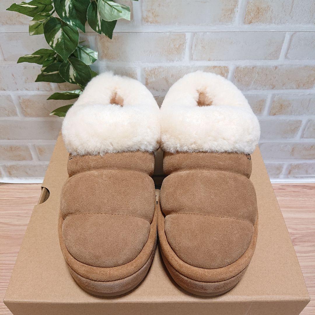 Tazzlita　タズリータ チェスナット 23cm 厚底 新品　UGG　アグ