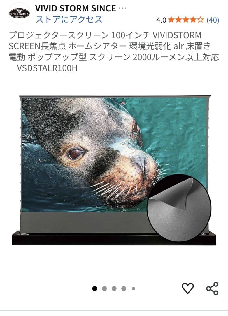 VIVID STORM SINCE 2004 100インチ