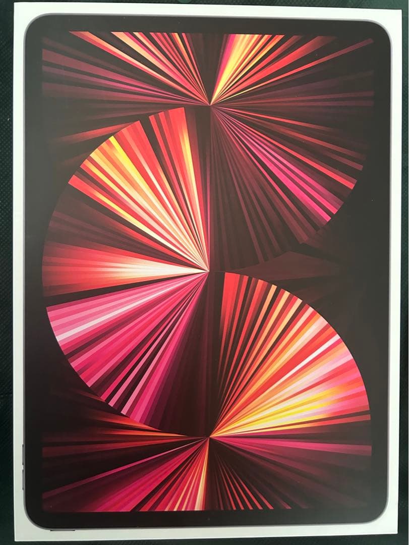 iPad Pro 11インチ第三世代　バッテリー100%