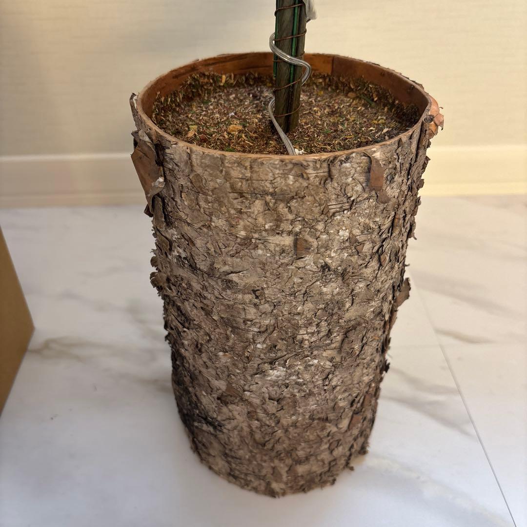 Ornedefeuilles クリスマスツリー