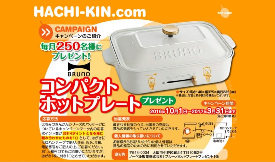 非売品! 懸賞当選品! BRUNO コンパクトホットプレート BOE021