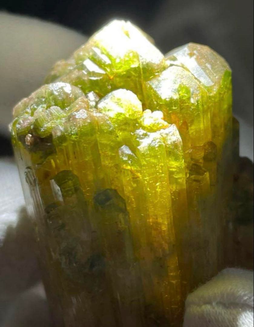 トルマリン原石　超巨大　サクラカラートリカラーバイカラー宝石質