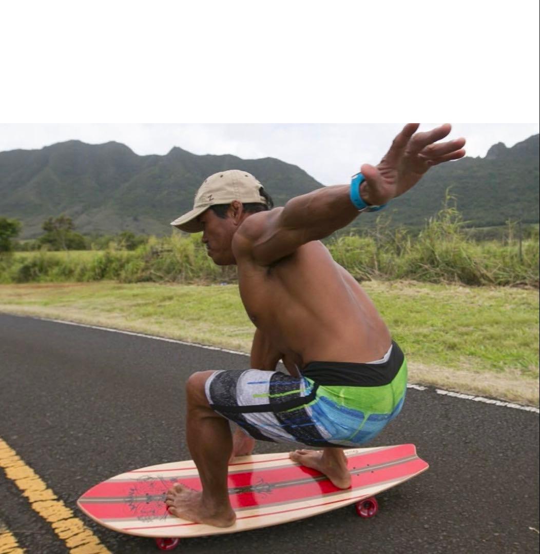 shaka surf board ランドパドルボード &パドルスティック ハワイ