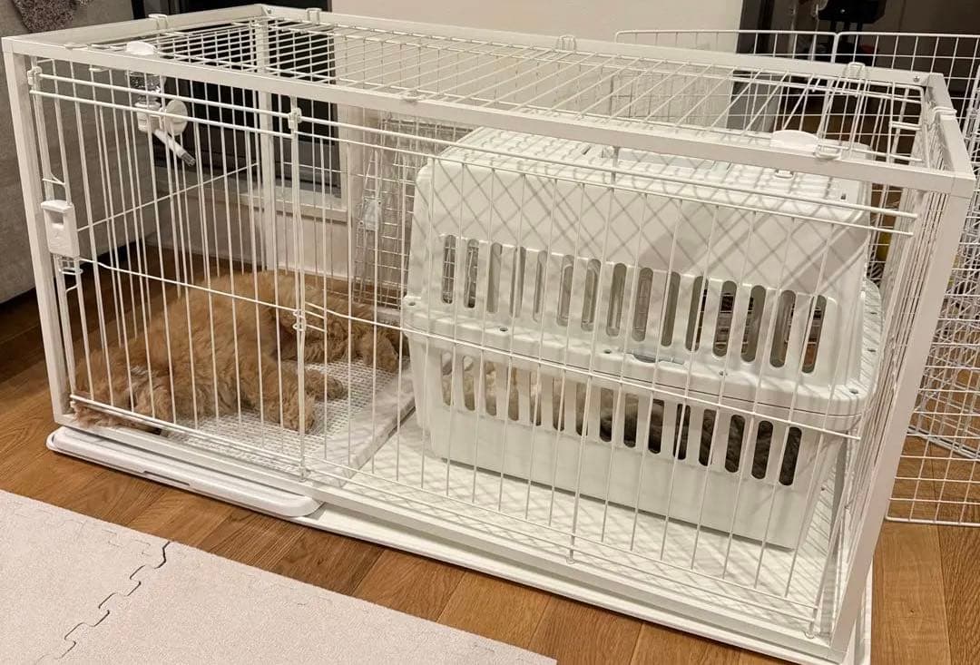 リッチェル インテリアペットサークル 屋根付き 120-60 ホワイト