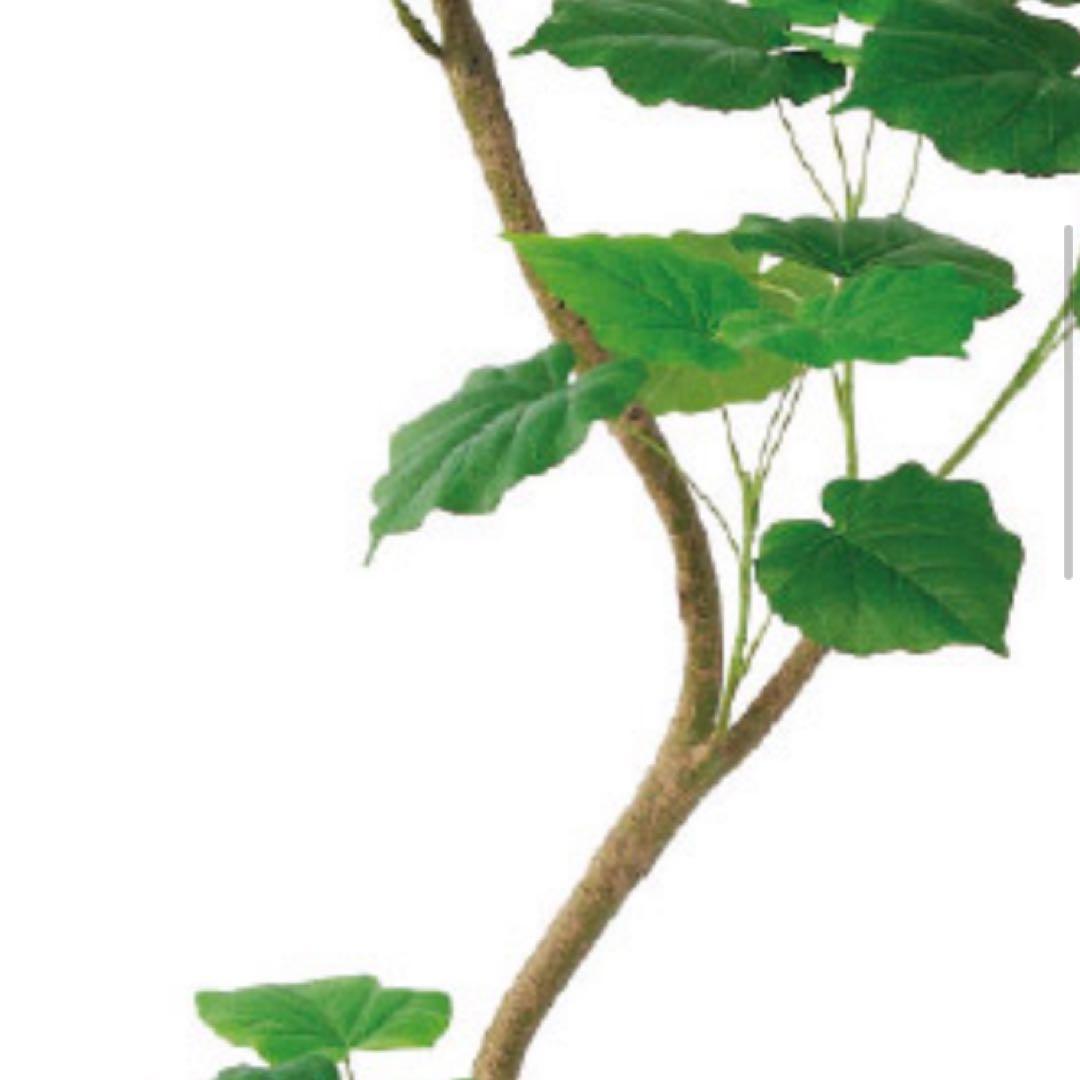 光触媒　人工観葉植物　ウォールグリーン　フェイクグリーン　ウンベラータ18080