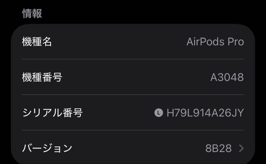 Apple AirPods Pro 第2世代 USB-C 両耳 [77]