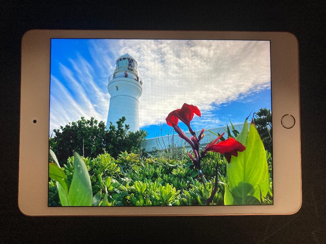 iPad mini 第5世代 64GB Cellular + 純正 pencil