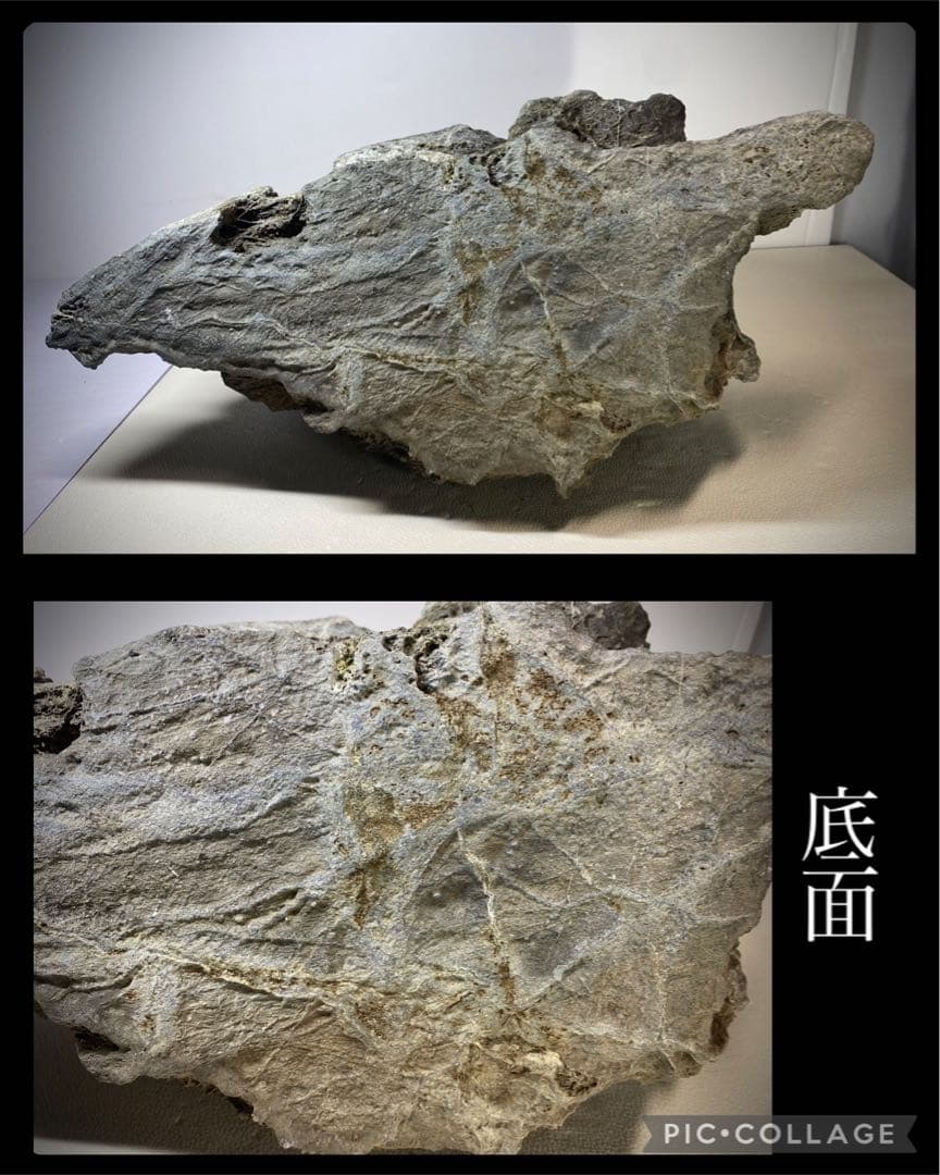 6231 大型 員弁川石 横43.2(cm) 20.55kg 水石 盆栽骨董