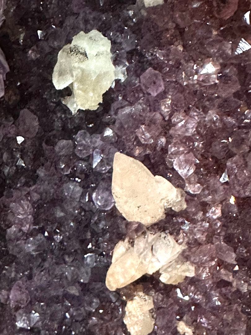 特価　アメジストドーム（カペラ）127