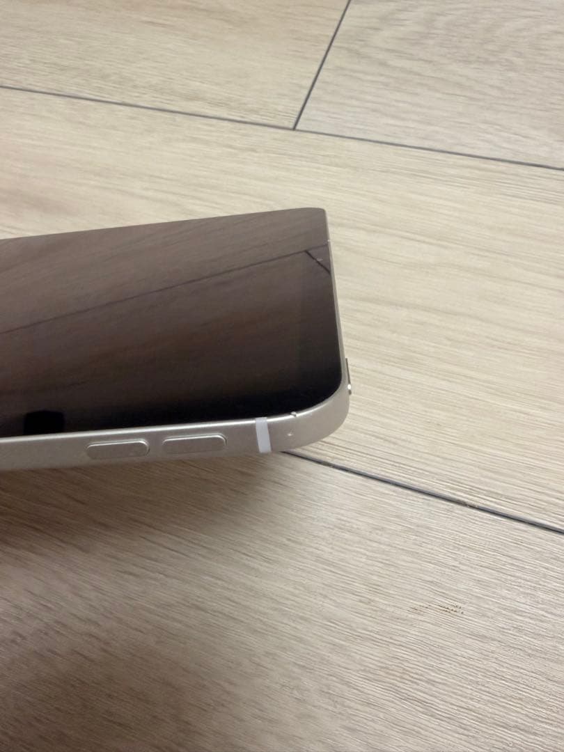 iPad Pro 11インチCellularモデル　Apple Pencil付き