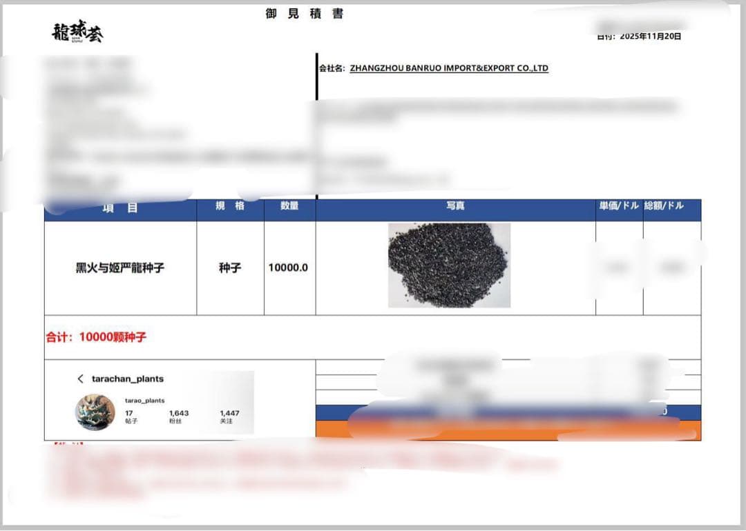 【yuki】アガベ　オテロイ　種子　姫厳竜×黒火焔 30粒