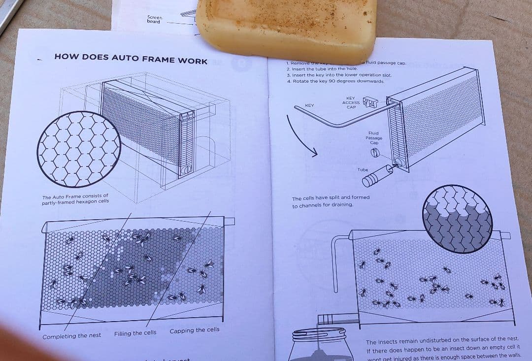養蜂箱 蜂蜜 フローハイブ