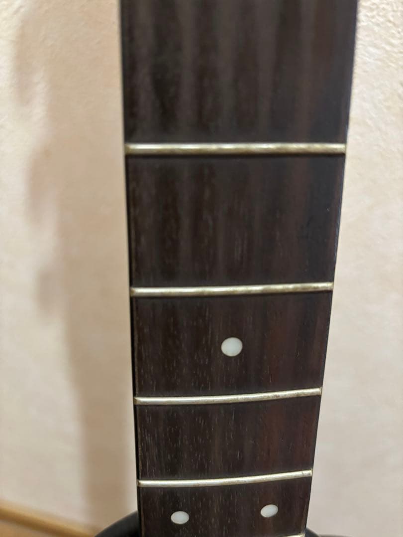 MORRIS アコースティックギター MD256TS