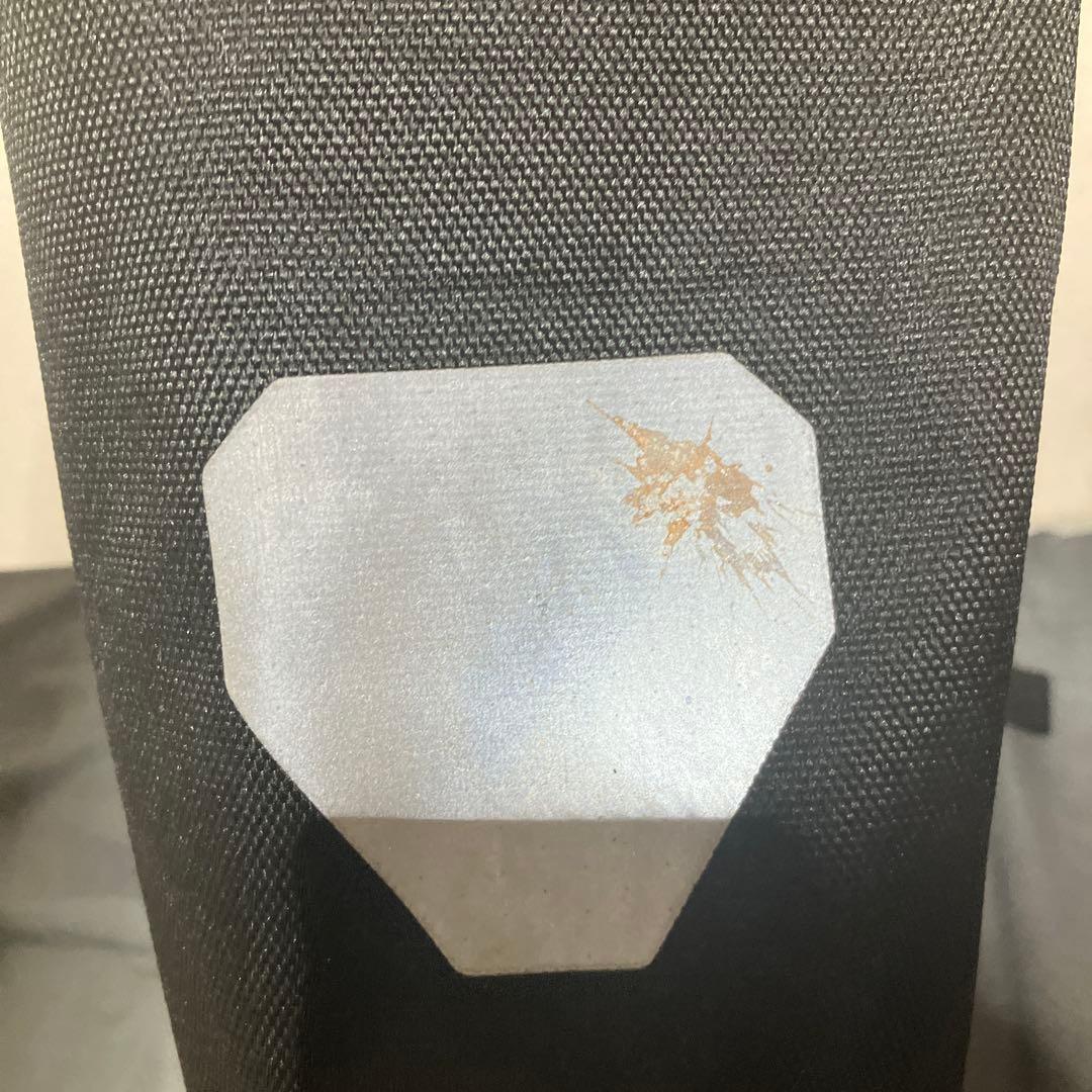 オルトリーブ ORTLIEB スポーツローラー アスファルト　パニアバッグ