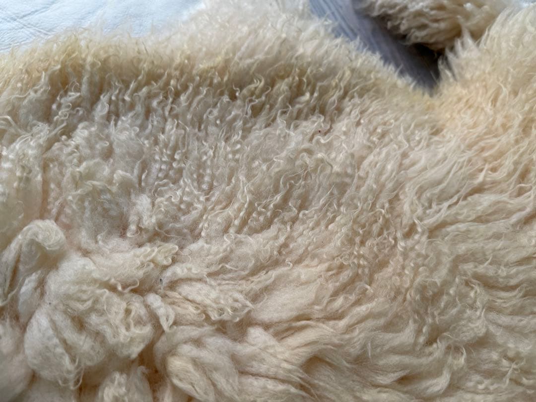 ムートンラグ 羊毛ラグ 2枚セット 約90cm x 60cm