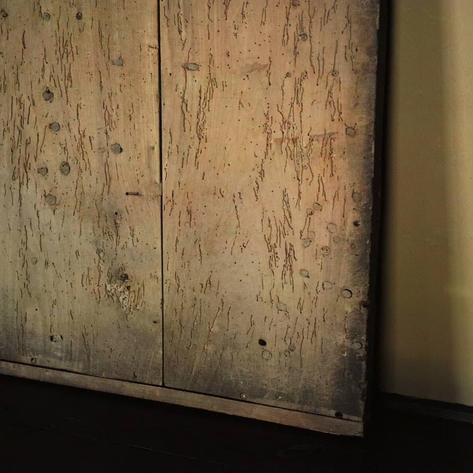 虫喰い跡が景色となった古い敷板 明治頃 古板 天板 展示台 飾り台 茶台 花台