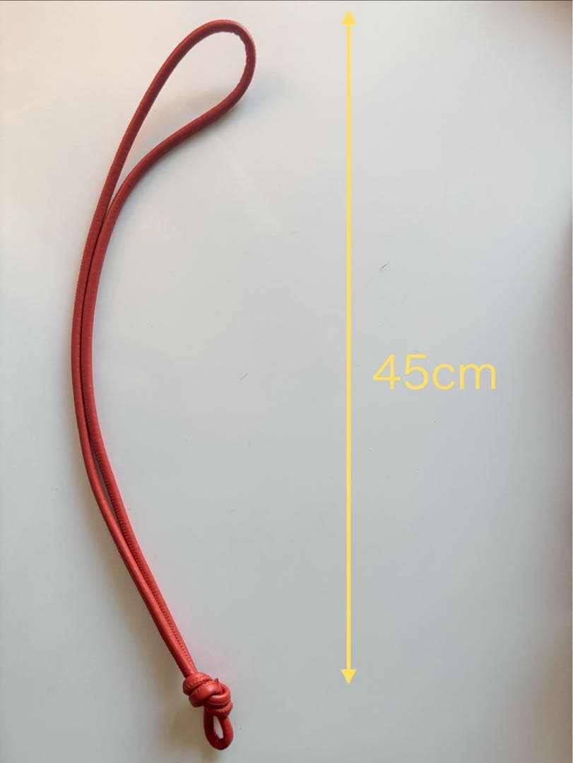 22SS DRIES VAN NOTEN ネックストラップ レザーバッグ