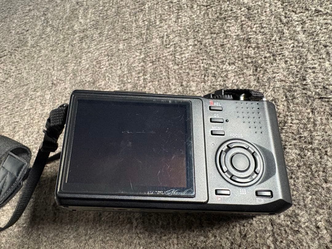 花*火様 SIGMA DP2 Merrill kenkoフィルター付き