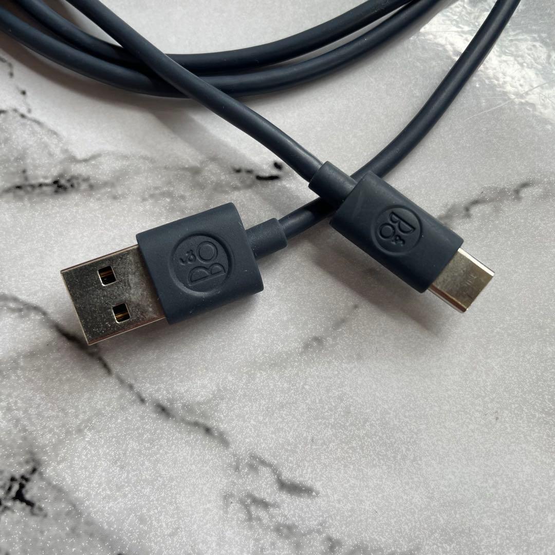 b&o beoplay p2 / 純正オプションレザーケース Bluetooth