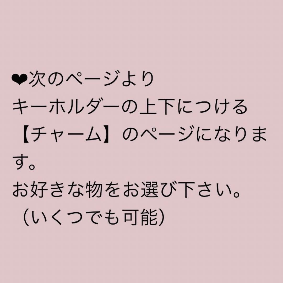 2/3限定価格❣️ドック キャット オーダー ペット ネーム キーホルダー