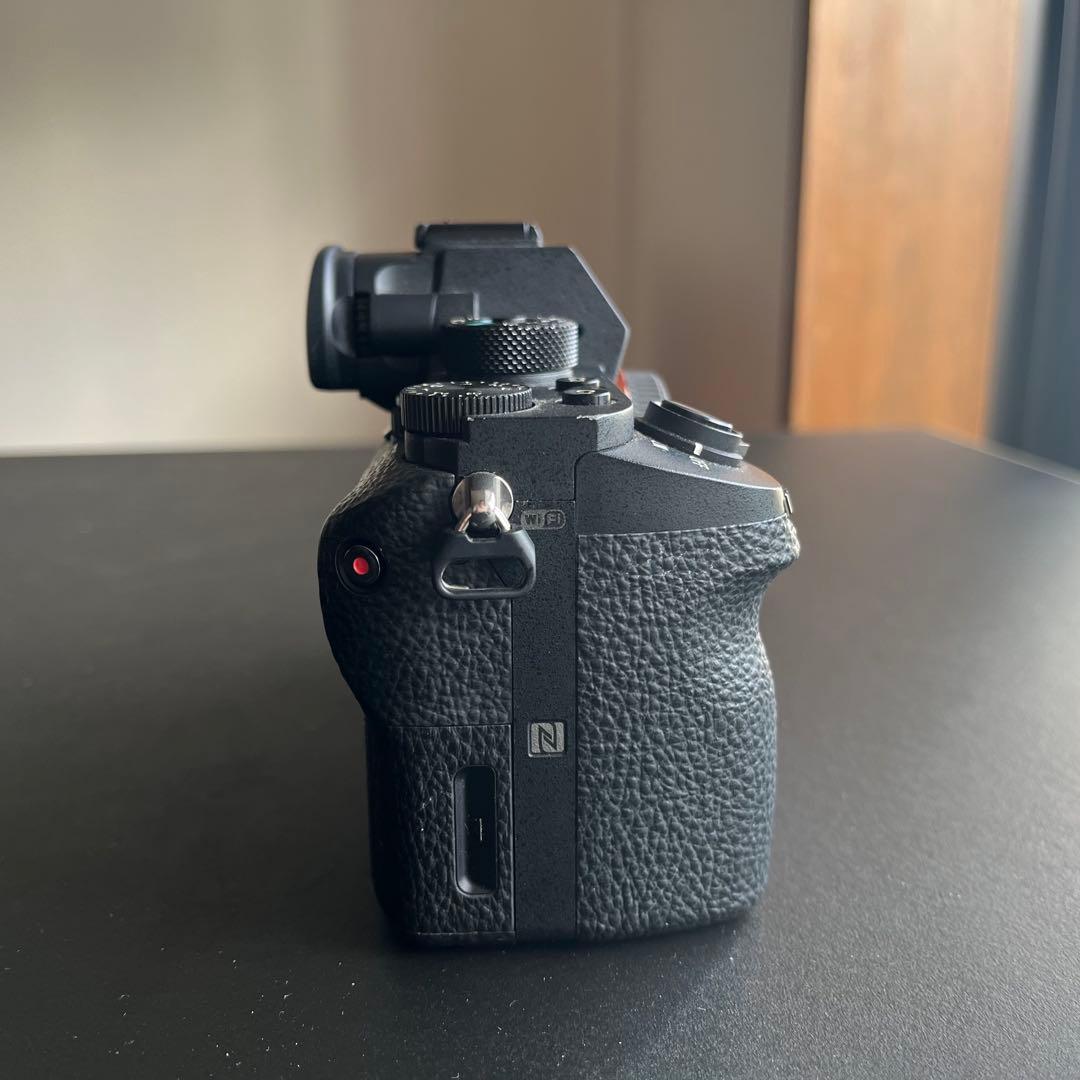 SONY α7RⅡ、TAMRON 28-75mm F/2.8 Di III