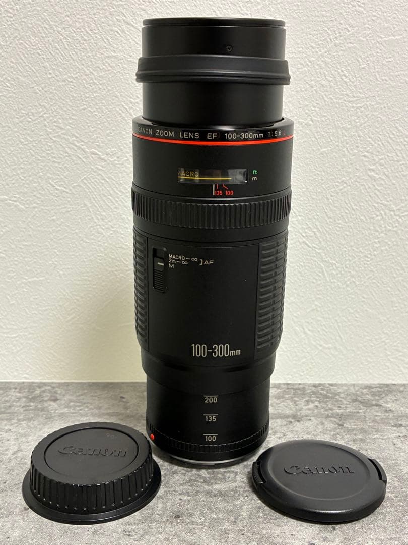 ⭐️美品⭐️キャノン Canon EF 100-300mm F5.6 L 望遠レンズ