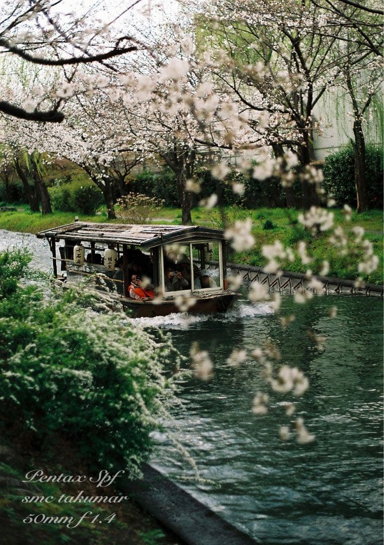 完動品＊美品＊pentax spf&名玉smc f1.4★作例多数！★初期保証