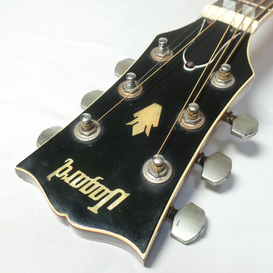 JAGARD TB-350 ギター ハミングバードDOVEタイプ ハードケース付