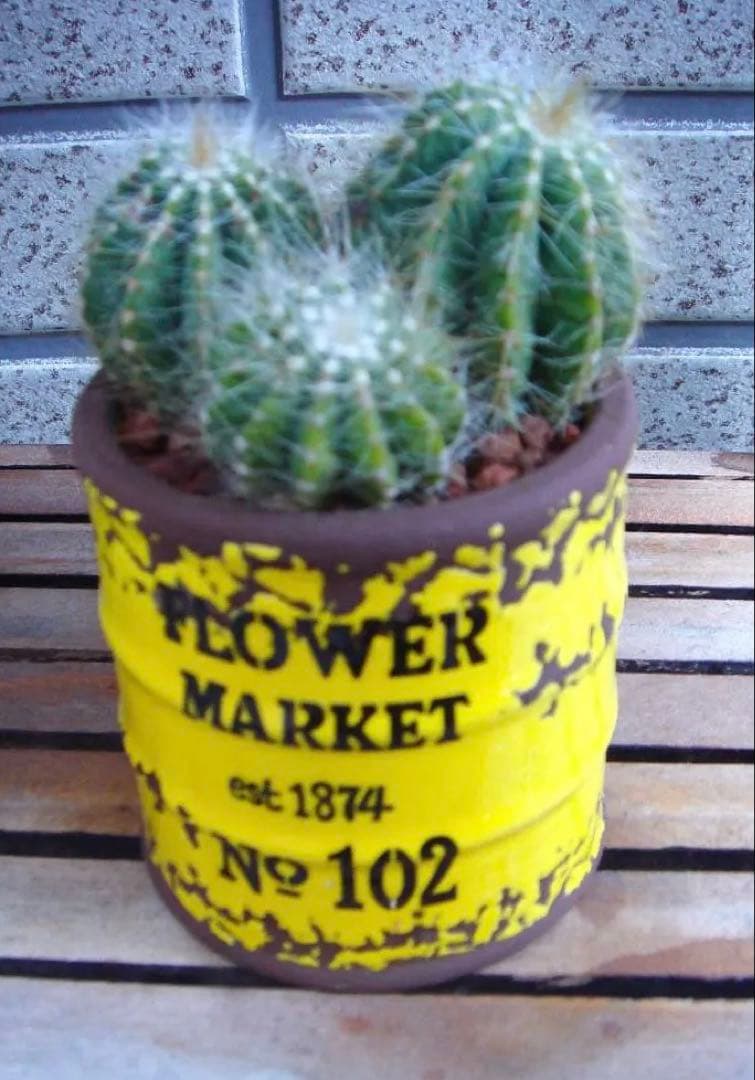 【SONY】Cyber-shot DSC-T30 デジカメ シルバー　コンデジ