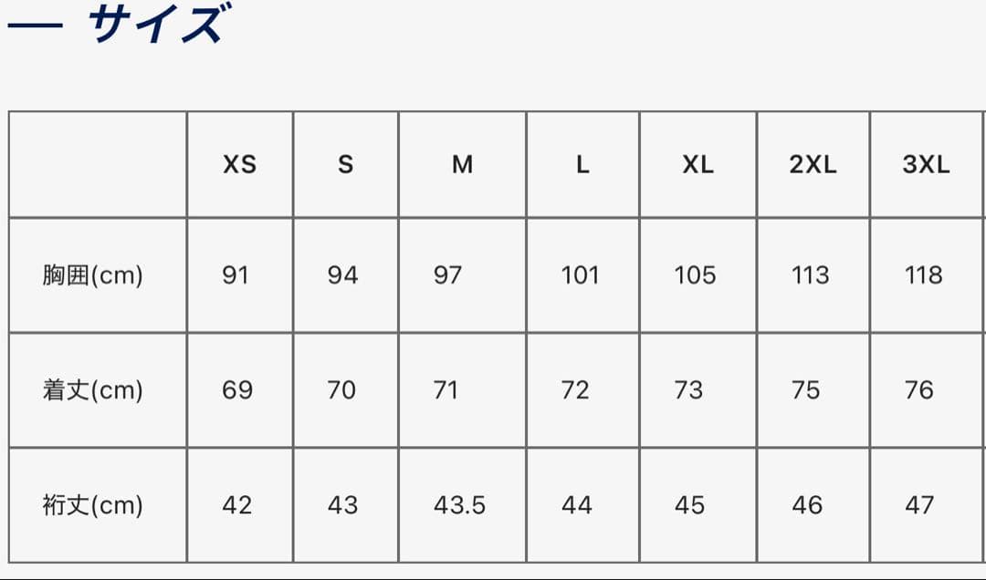 【本日限定値下げ】サッカー日本代表ユニフォーム レプリカ Lサイズ 試着のみ新品