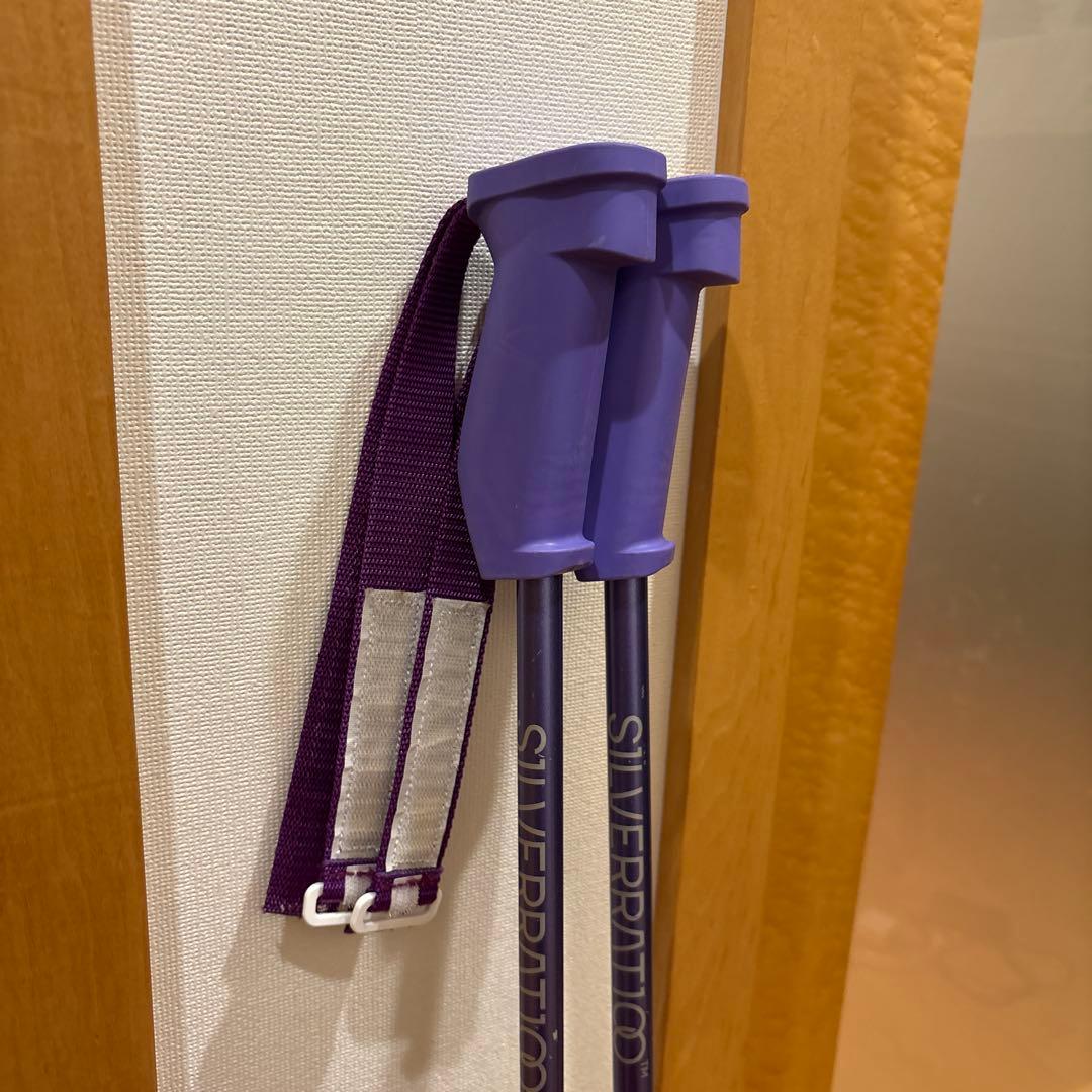 シルバーラティオ　初代モデル