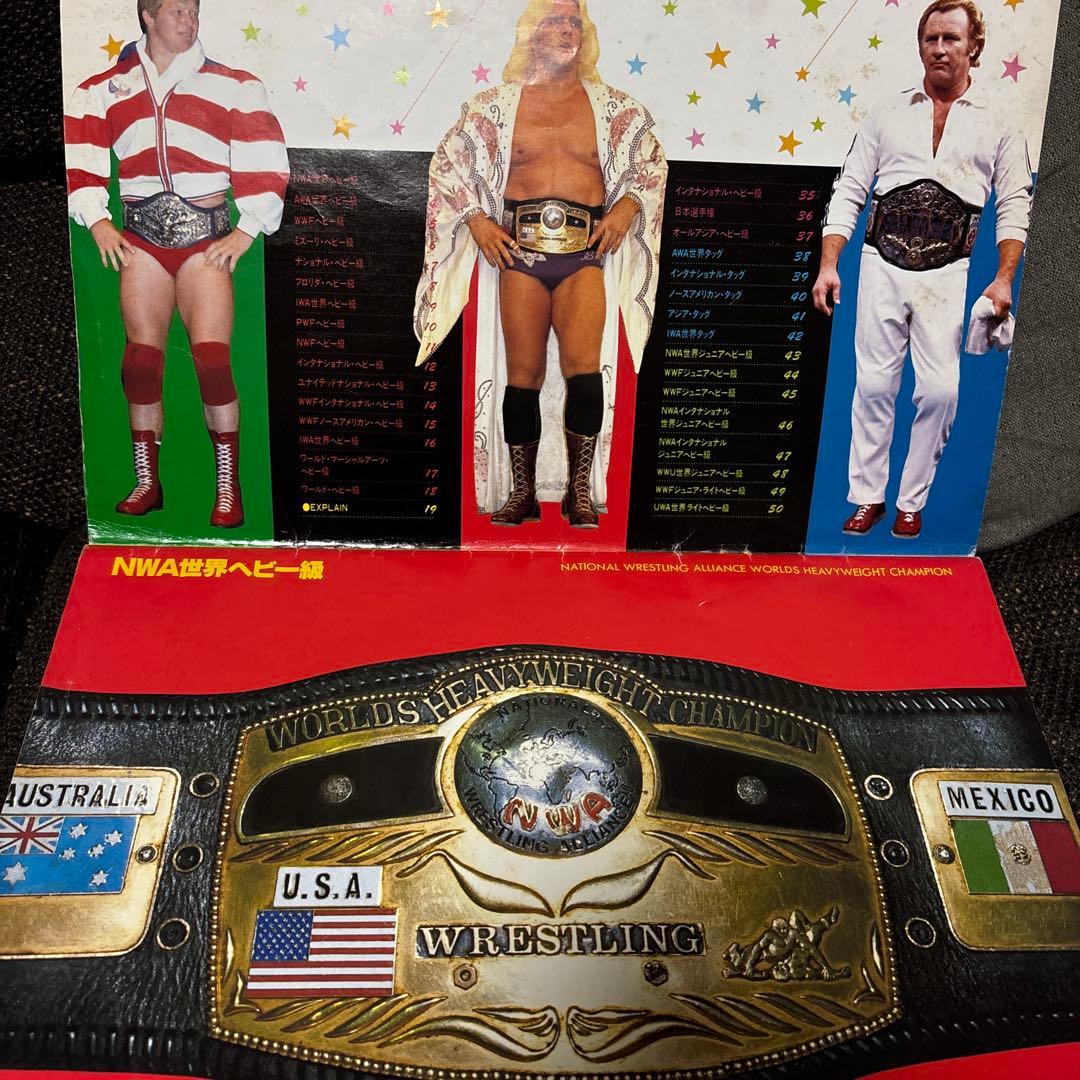 栄光の輝き　プロレスチャンピオンベルト　ベースボール・マガジンさ社