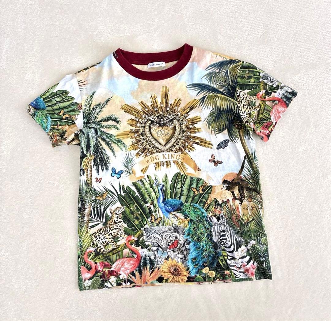 DOLCE&GABBANA ドルチェアンドガッバーナ　トロピカルラブ　130