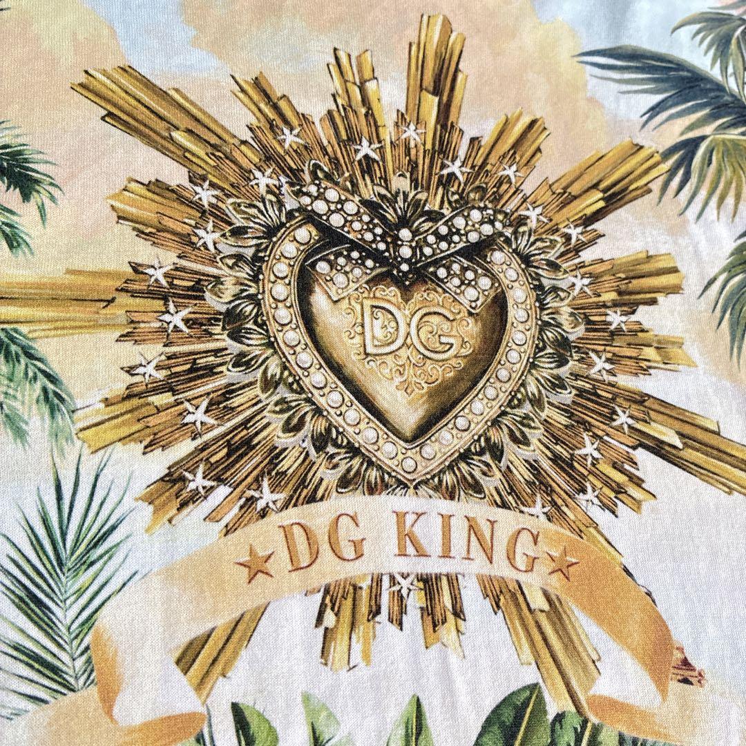 DOLCE&GABBANA ドルチェアンドガッバーナ　トロピカルラブ　130