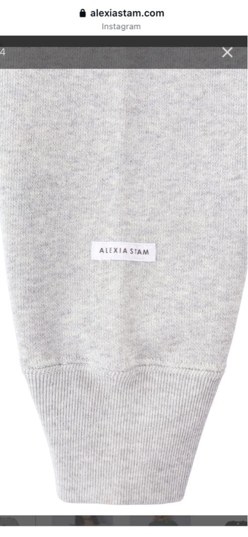 トップス champion for ALEXIA STAM Sweatshirt