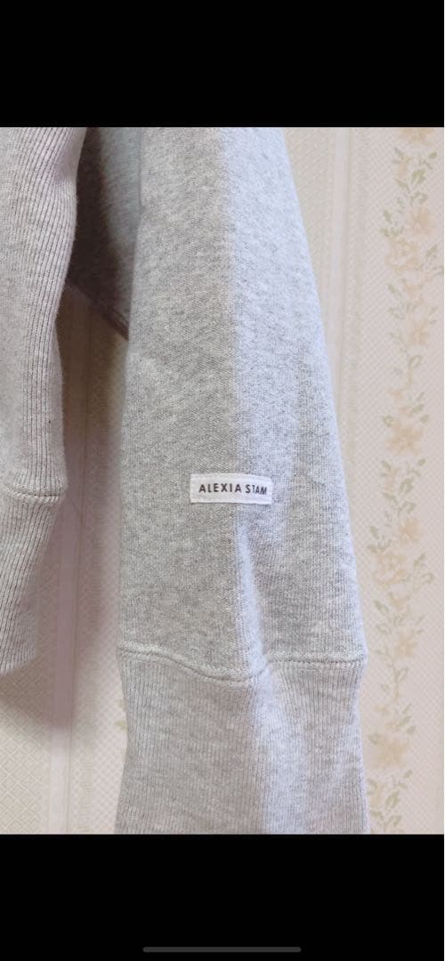 トップス champion for ALEXIA STAM Sweatshirt