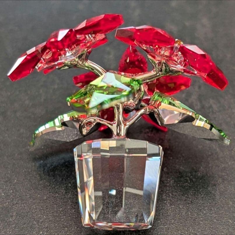 【レッド】SWAROVSKI スワロフスキー ポインセチア　箱付