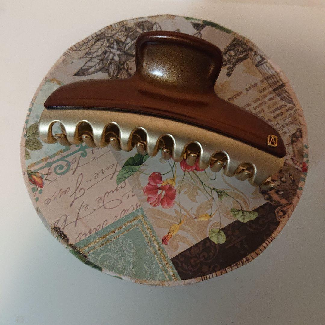 ☆アレクサンドゥルパリ クリップ大きいサイズ☆