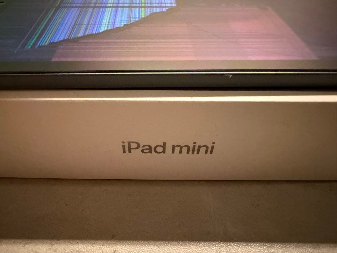 ipad mini 第6世代 ジャンク品
