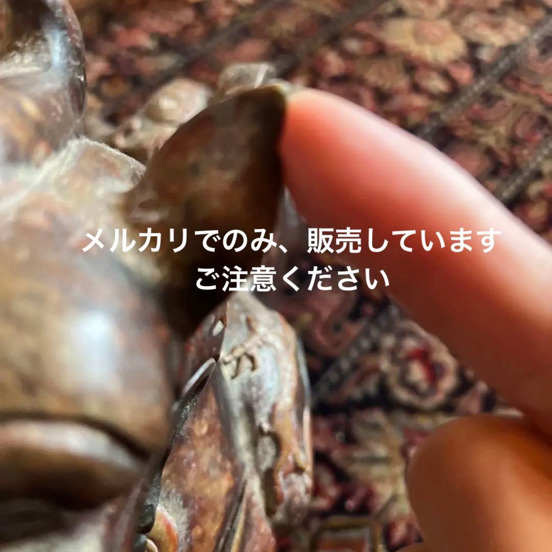 希少 シーサー 阿形の狛犬 魔除け 置物 獅子