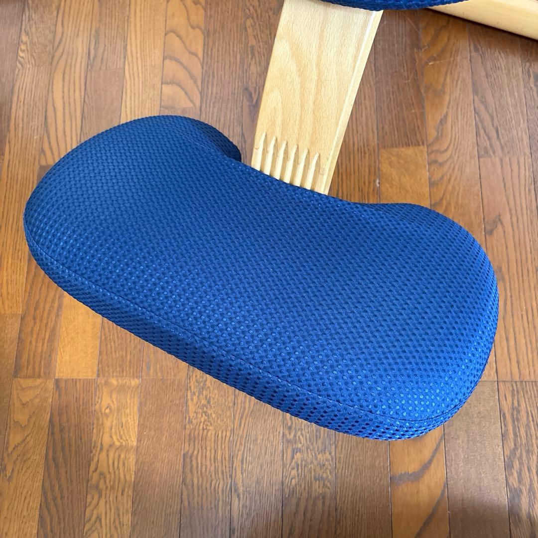 【美品】balans Easy バランスイージー ネイビー 通常フレーム