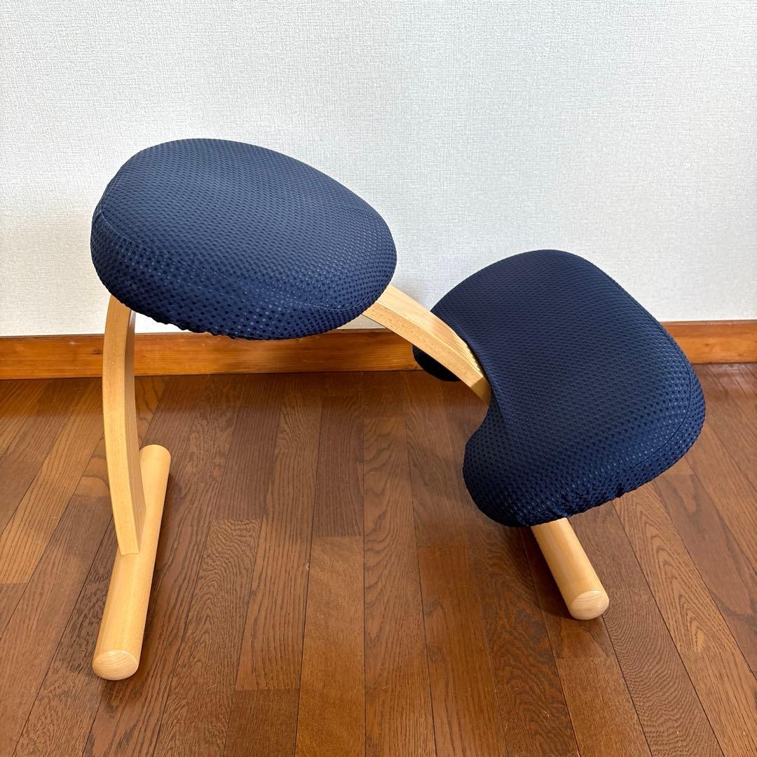 【美品】balans Easy バランスイージー ネイビー 通常フレーム