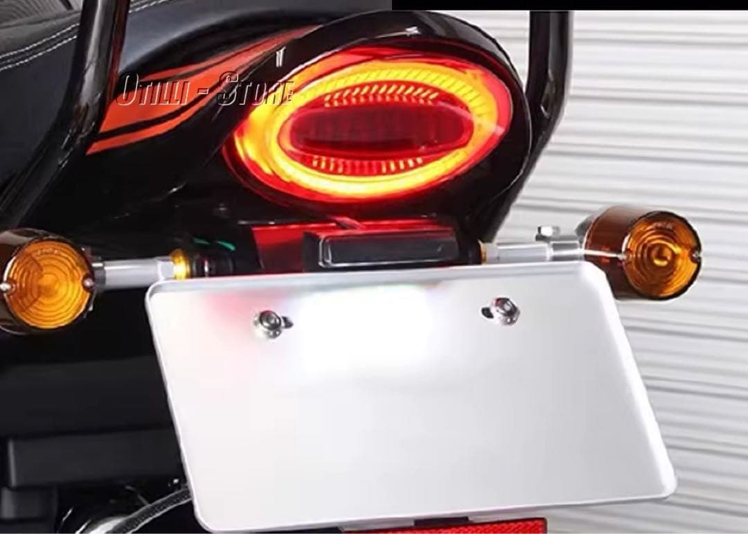 z900rs ルミナスLEDテールランプユニット　限定１個